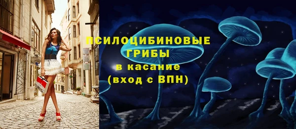 герыч Россошь