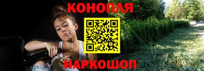 крисы Тулун