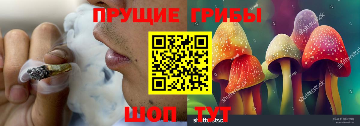 Рославль  Галлюциногенные грибы Psilocybine cubensis  Галлюциногенные грибы мухоморы  Вход с VPN 